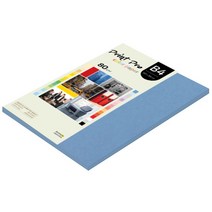 종이문화 프린트 프로 칼라 복사용지 No 17 딥블루 80g, B4, 85개