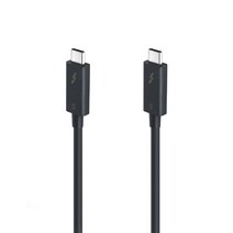 아이논 썬더볼트3 케이블 40Gbps 0.5m, 블랙, 1개