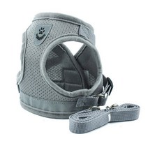 케어펫 강아지 메쉬 하네스 XL, 그레이