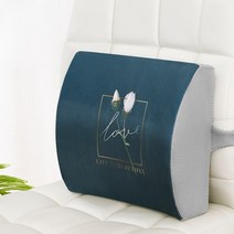 라별 누눅 메모리폼 허리쿠션, HS13