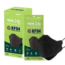 에버그린 황사 방역 마스크 대형 KF94, 25개입, 1개