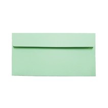 컬러색지 초대장 청첩장 리플릿 카드봉투 220 x 105 mm, 연연두색, 100개