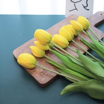 조화 프리미엄 튤립 5송이, 옐로우