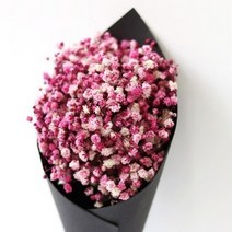 로맨틱노멤버 드라이플라워 안개꽃 미니 꽃다발 크라프트, 안개꽃 레드핑크