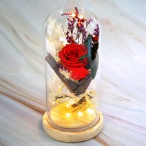 잇츠마이플라워 프리저브드 장미 꽃 유리돔 무선 LED 무드등 259387, 레드