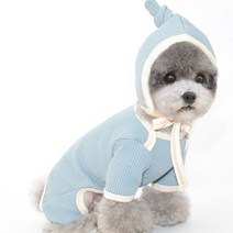 바이굄 반려동물 올인원 파스텔 골지 꼬깔모자, 하늘