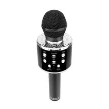 구스페리 2 IN 1 미러볼 블루투스 무선 마이크 블랙