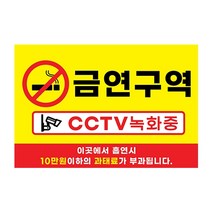 피노마켓 금연구역 안내판 디자인 2 중형 30 x 20 cm, 금연구역 CCTV 녹화중, 1개