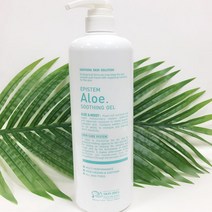 스킨아이디어 에피스템 알로에 수딩젤 대용량, 1000ml, 1개