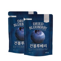 리치팜너트 건블루베리, 2개, 400g
