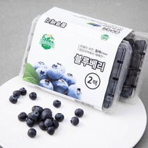 만나 칠레 블루베리, 312g, 2팩