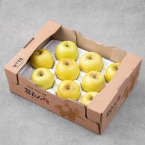 프레샤인 GAP 인증 시나노골드 사과, 2kg(7~11입), 1개