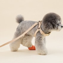 힛찌 초경량 버클 강아지리드줄, 네츄럴베이지