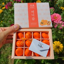 미니 과일 용돈박스 세트, 감