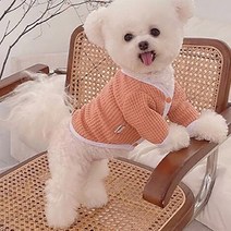 쁘띠도그 강아지 허쉬 가디건 DK025, 오렌지