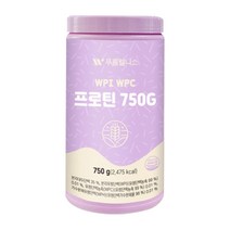 푸름웰니스 WPI WPC 프로틴 750g + 내장스푼 세트, 1세트