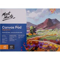 벨리안 전문가용 면캔버스 패드 10p, 면천