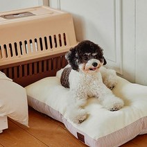 히즈독 강아지 풍기인견 아임쿨 이동장 전용 방석, 쿨크림