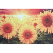 상상그램 미끄럼방지 해바라기 현관 코일 매트 900 x 1200 x 13 mm, 1개