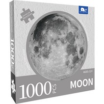 SN 즐거운 취미생활 퍼즐 01 Moon Puzzle MW4165, 혼합색상, 1000피스