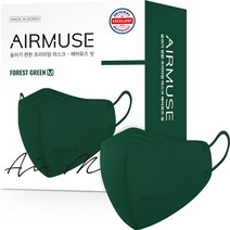 에어뮤즈 핏 마스크 2D 새부리형 중형, 25개입, 1개, 그린
