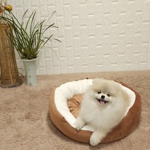 두기펫 반려동물 쏘옥 극세사 원형 방석, 브라운