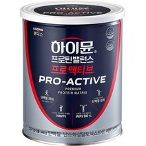 일동후디스 하이뮨 프로틴 밸런스 프로 액티브 캔, 646g, 1개