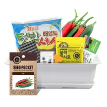 월드가드닝 뷰티6호 텃밭세트 화이트, 고추