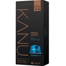 카누 바리스타 머신 전용 캡슐커피 프라우드오션, 9.5g, 10개입