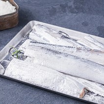 어획 바로 동결한 제주갈치 소금간 있음 (냉장), 450g(대 2마리), 1개