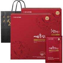 GC녹십자웰빙 어삼 홍삼진액 24p + 쇼핑백, 1200ml, 2개