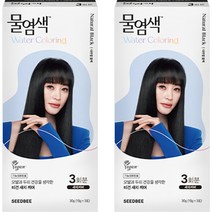 씨드비 물염색 새치 염모제 30g, 내추럴 블랙, 2개