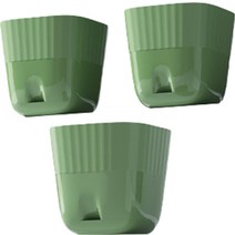 클레어라 사각 화분 3p, 그린