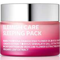 아이소이 블레미쉬 케어 슬리핑팩, 1개, 50ml