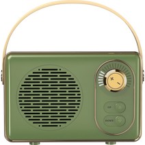 오엠티 레트로 럭셔리 휴대용 캠핑 무선 블루투스 스피커 OBS-RTR1, 그린