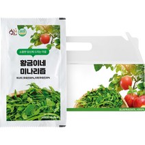 황금이네 착즙 돌 미나리즙 진액 100ml, 30개