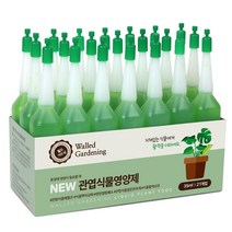 월드가드닝 NEW 관엽식물 영양제 앰플, 21개
