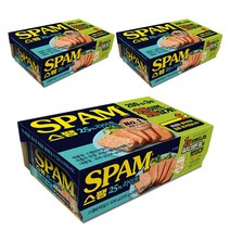 스팸 25% 라이트, 200g, 9개