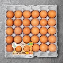 농협 무항생제 인증 특란, 30구, 1개