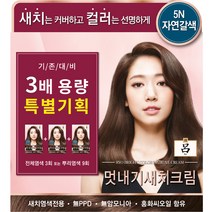 려 우아채 멋내기 새치크림 염모제 3배 용량 특별기획 360g, 5N 자연갈색, 1개