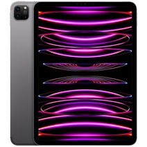 Apple 정품 2022 아이패드 프로 11 4세대 M2칩, 스페이스그레이, 256GB, Wi-Fi+Cellular