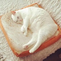 블럭마트 고양이 토스트 식빵방석, 혼합 색상