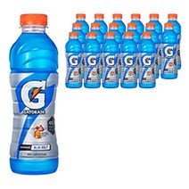 게토레이 블루볼트페트600ml, 600ml, 18개