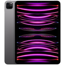 Apple 정품 2022 아이패드 프로 11 4세대 M2칩, 스페이스그레이, 1TB, Wi-Fi