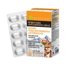 메이플트리 장용성 100억 프로바이오틱스 생유산균, 60캡슐, 1개