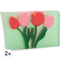 프라이멀엘리먼츠 바디솝 튤립, 2개, 165g