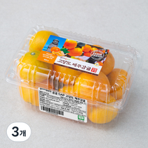 곰곰 GAP 고당도 제주감귤, 800g, 3개