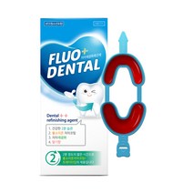 시린이 불소코팅 플루덴탈 치아재광화촉진제 어덜트, 10g, 1개