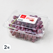 만나다 미국산 씨없는 적포도, 450g, 2개