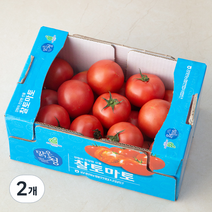 강원 맑은청 찰토마토, 3kg, 2개
